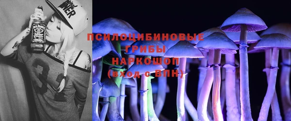 ешки Алзамай