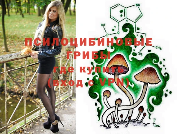 Альфа ПВП Алексин