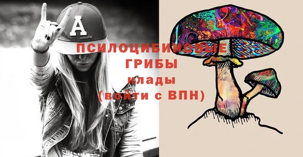 ешки Алзамай